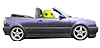 car-smiley-04-01-2007-151-by-smiliehouse.gif